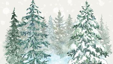 Gemeinsam statt einsam: Aktiv durch die Weihnachtszeit in der CuraMed Akutklinik Allgäu