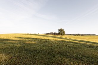 Interview: So arbeitet eine Akutklinik für Psychotherapie