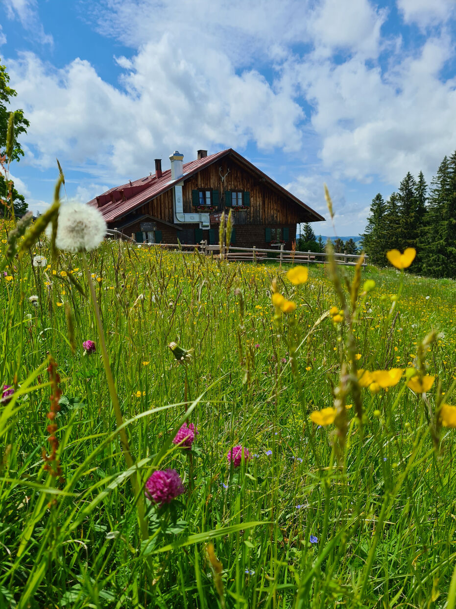 Save the Date – Ehemaligentreffen am 11. Juli 2026