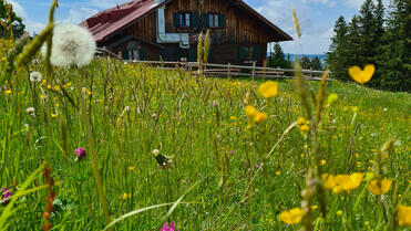 Save the Date – Ehemaligentreffen am 11. Juli 2026