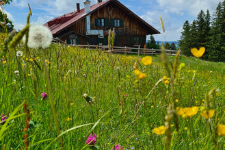 Save the Date – Ehemaligentreffen am 11. Juli 2026