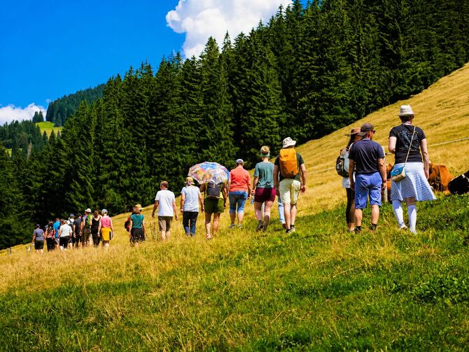 Natur, Bewegung und Begegnung: Beim Waldbaden standen Entschleunigung, Austausch und das Erleben von Gemeinschaft im Mittelpunkt.